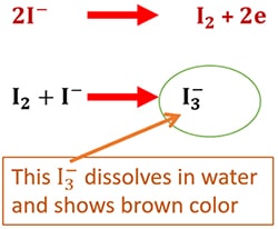 Brown Ring Test disturbance due to iodide ions I-
